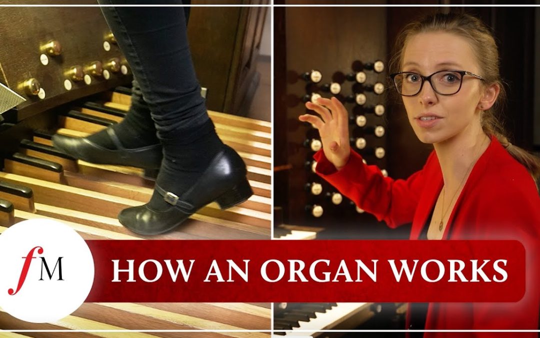 How does a pipe organ actually work? Classic FM